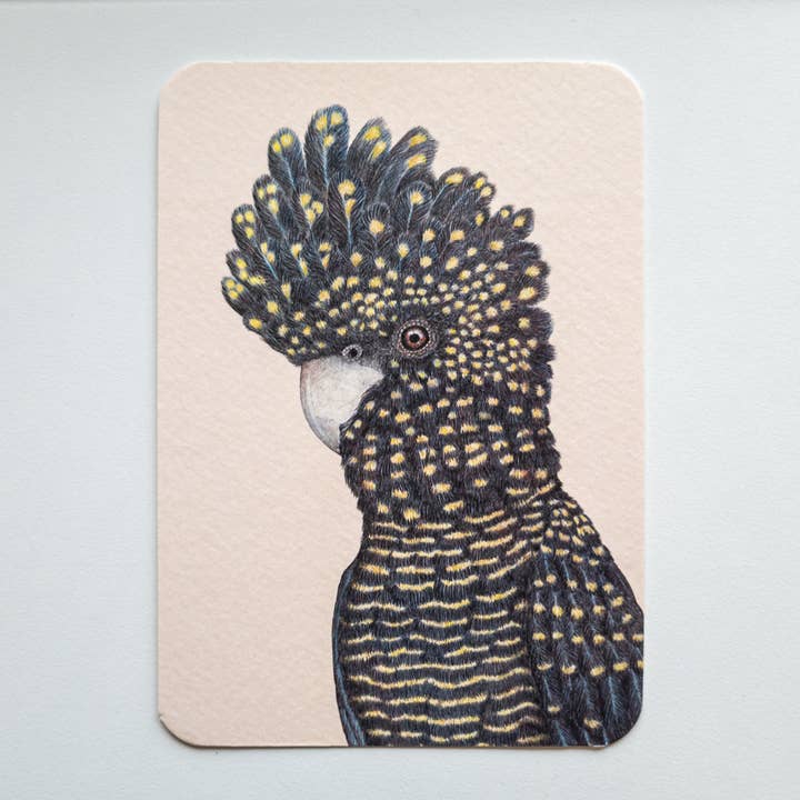 Postkort LENNON for engroshandel hos Studio Binck