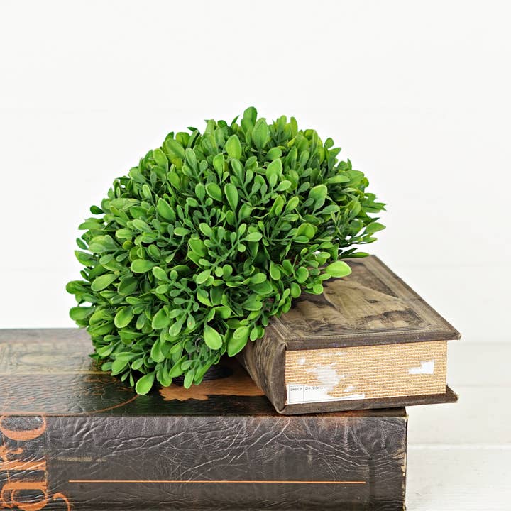 Two Ten Original LLC - Wholesale Artificial Plant - Evergreen Boxwood Half Sphere-10inDx5.5H4