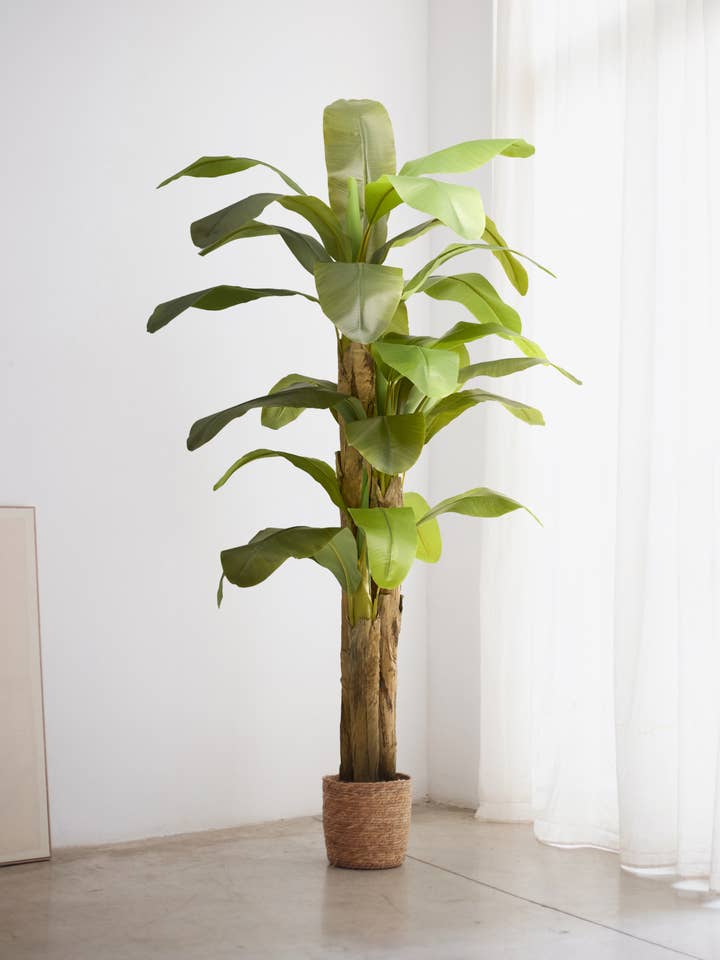 7' Artificial Banana Tree for wholesale by Maia Shop: No Duties for the US