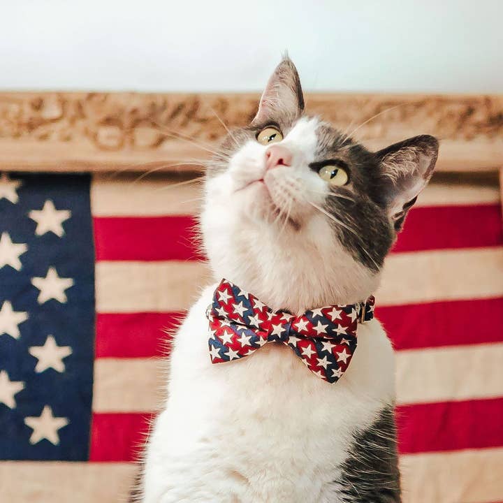 Made By Cleo - Wholesale Pet Collar - Cat - "Americana" - 4th of July Cat Collar