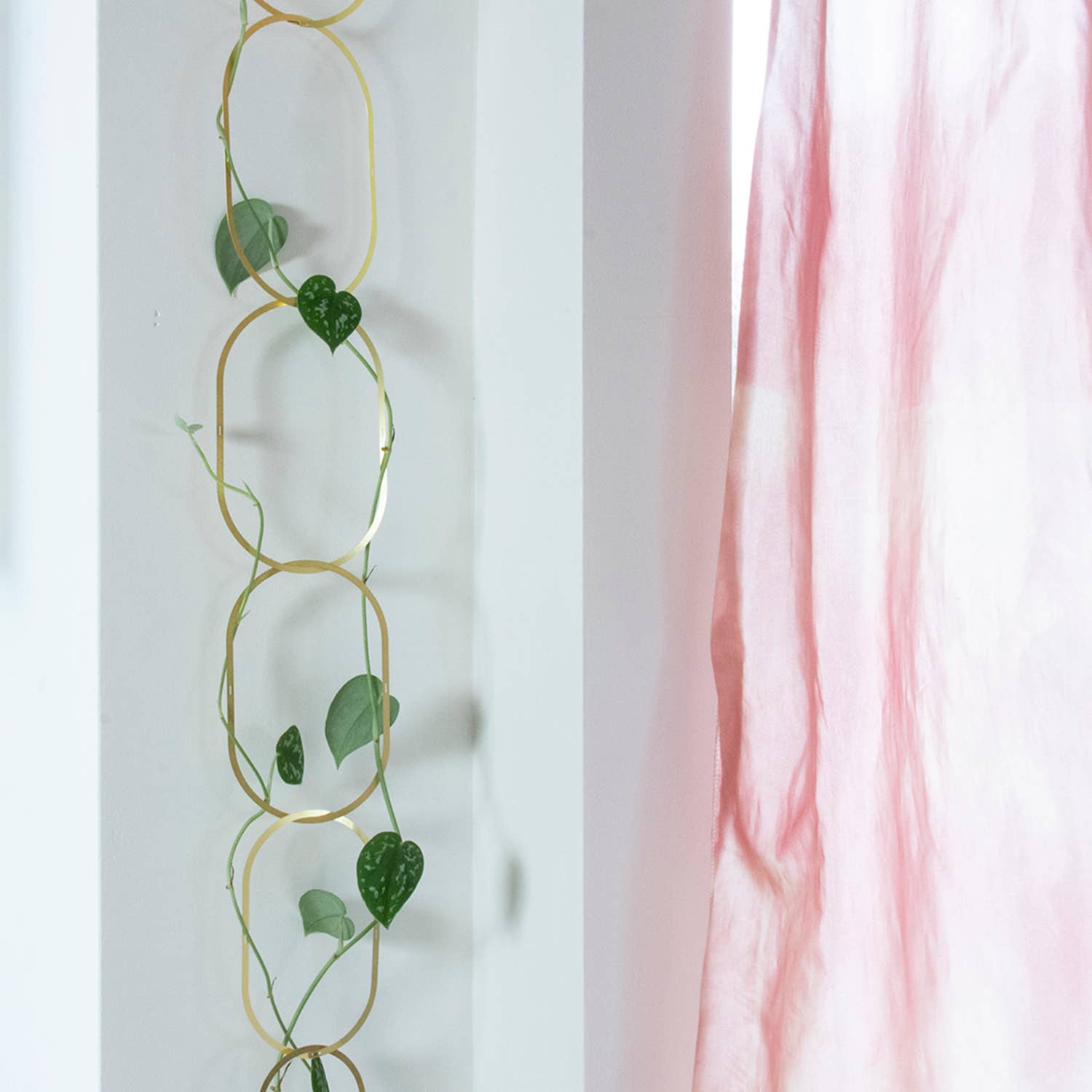 Botanopia - gifts , decor and cards for plant lovers - Wholesale Trellis - Gold Brass Chain - Plant Support for climbing plants10