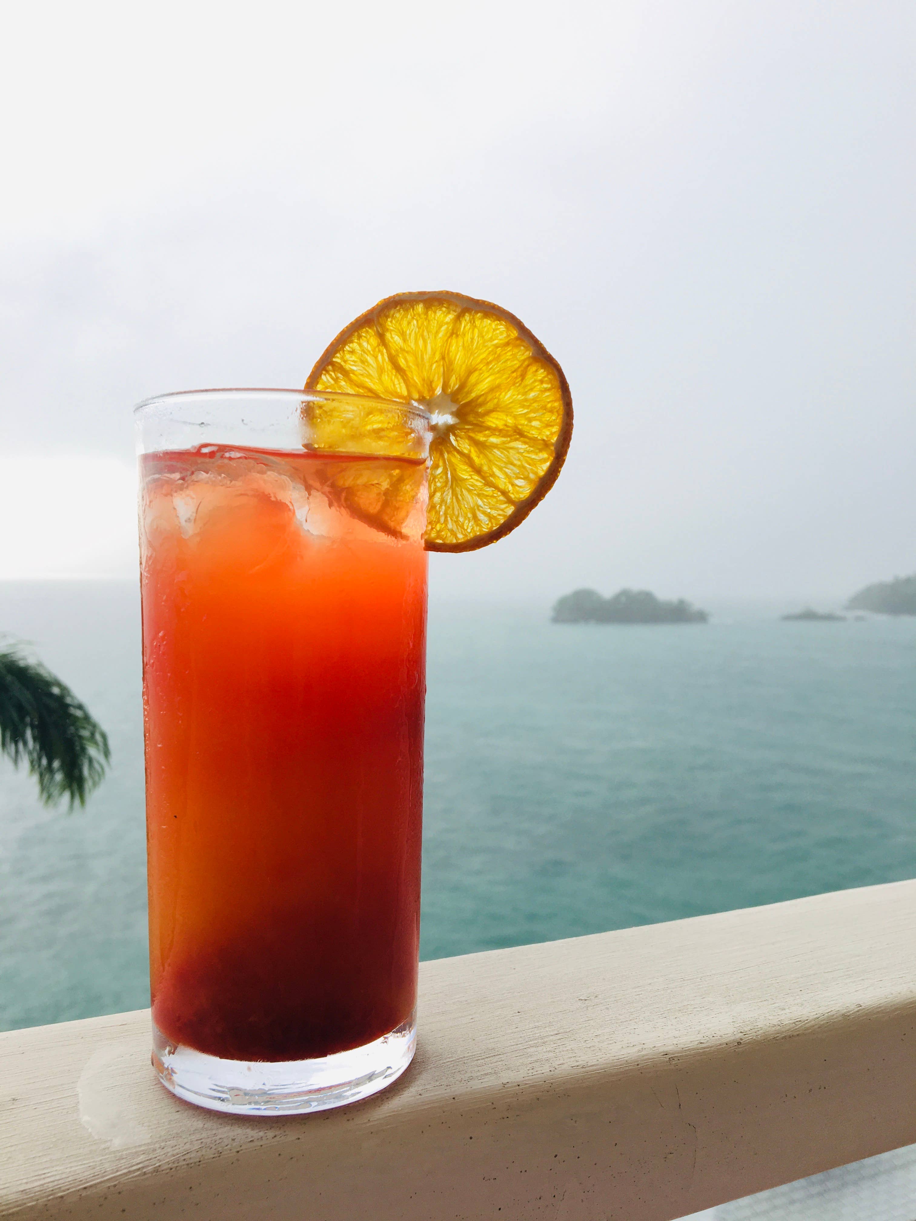 FreshDried – Fruta seca/desidratada por atacado – Rodelas de Laranja Secas Orgânicas2