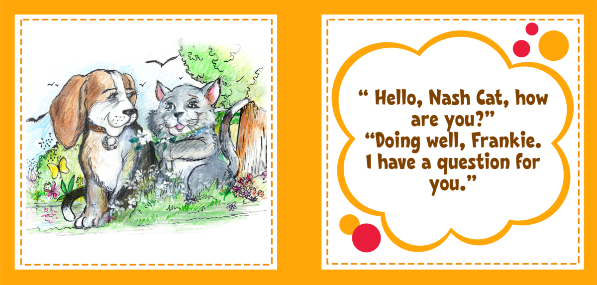 Bene World Toys - Wholesale Stuffed/Plush Toy - Kids & Baby - Mini Plush Dog and Cat Gift Sets for Kids2