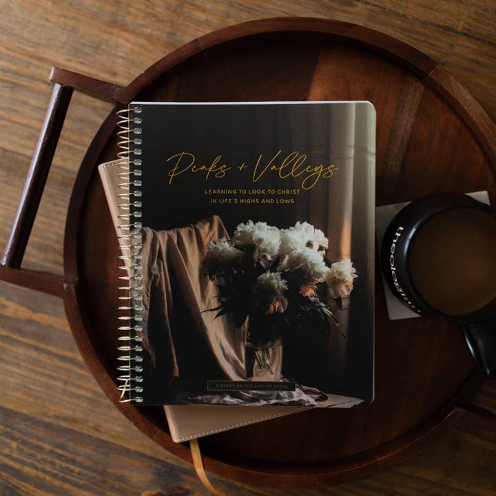 Peaks and Valleys: Learning to Look to Christ in Life's Highs and Lows | A Study on the Life of David for wholesale by The Daily Grace Co