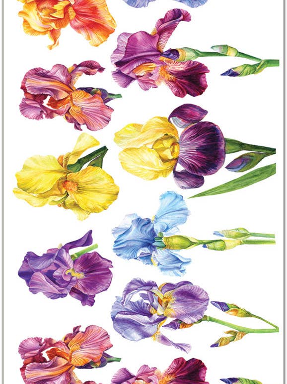 C326 Iris Kleurrijke Bloemenstickers voor wholesale door Violette Stickers
