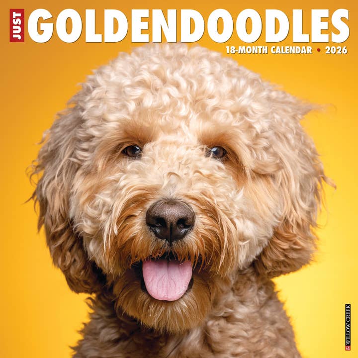Goldendoodles 2026 Wall Calendar for wholesale by Willow Creek Press & Gifts