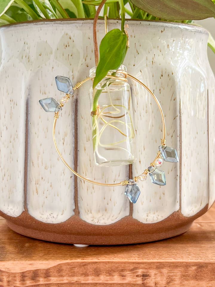 Estación de Propagación de Plantas, Accesorio para Plantas, Decoración para Plantas para venta al por mayor de Mtn Bluebird Co