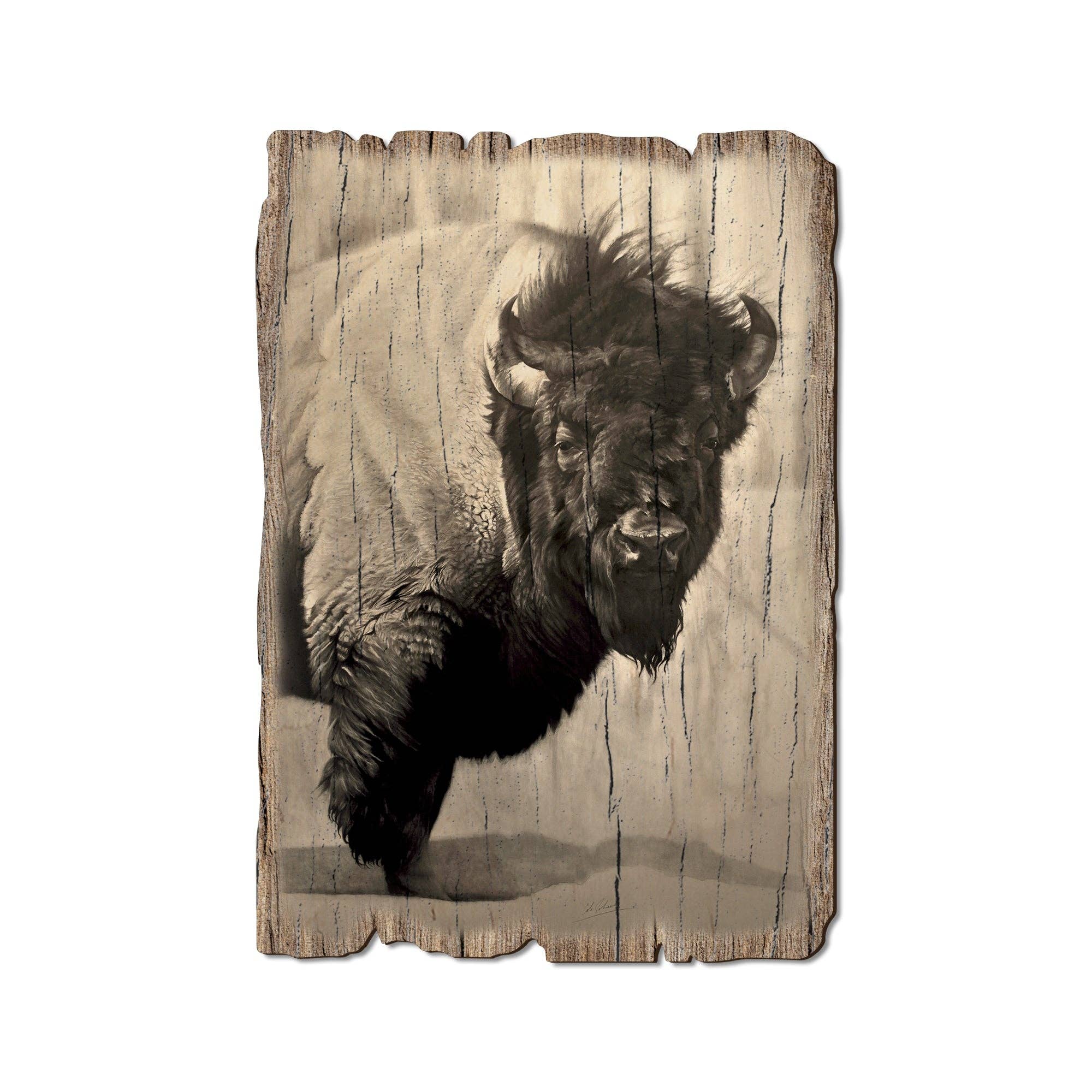 DaydreamHQ - Wholesale Postcard - Icon Bison - Wood Rustic Edge Postcards & Magnets