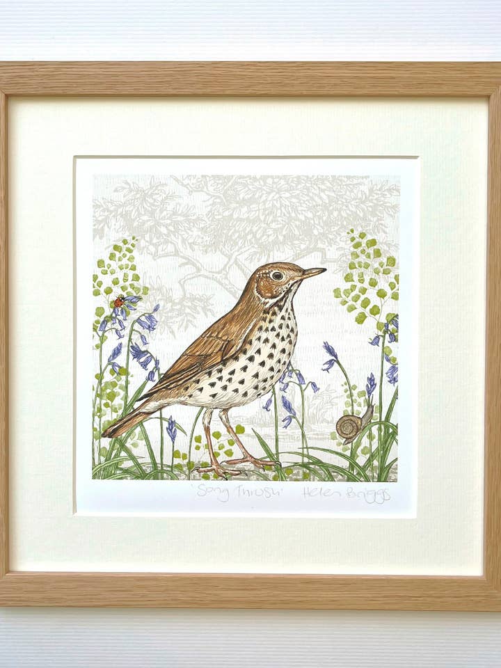 Sangdrossel Kunsttryk for engroshandel hos Helen Briggs Design