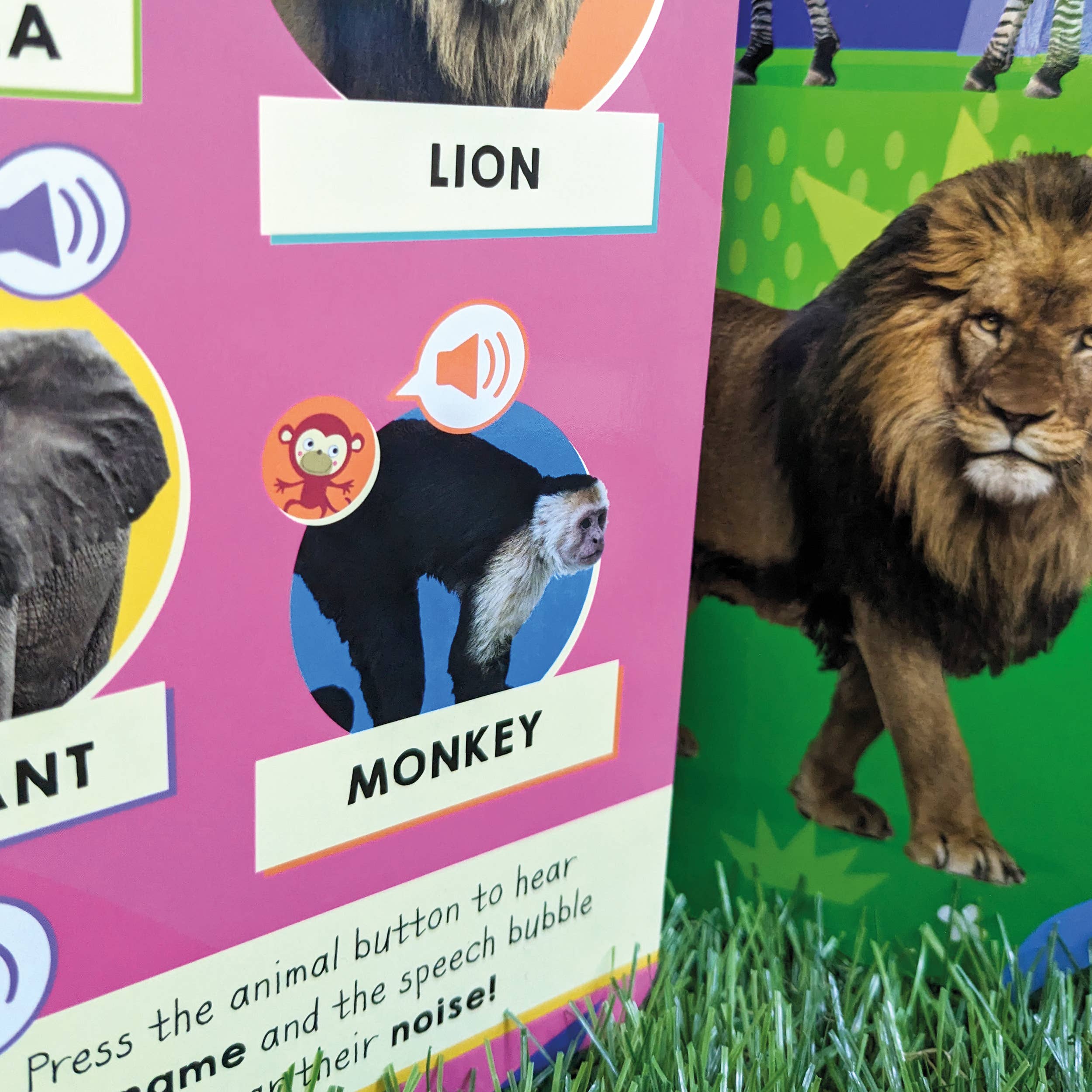 Robert Frederick Ltd - Wholesale Preschool Book (3-5) - 100 Button Sound Book - Animals4