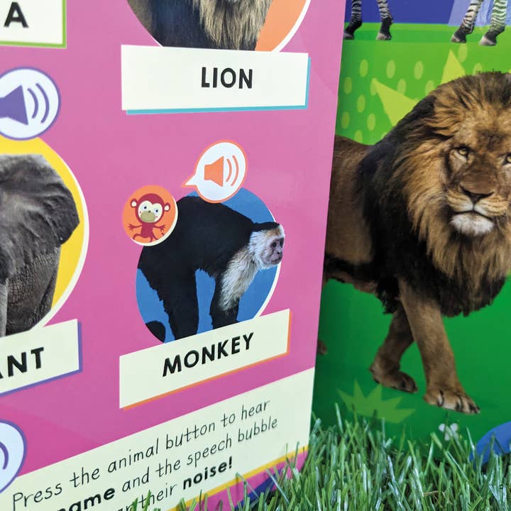 Robert Frederick Ltd - Wholesale Preschool Book (3-5) - 100 Button Sound Book - Animals4