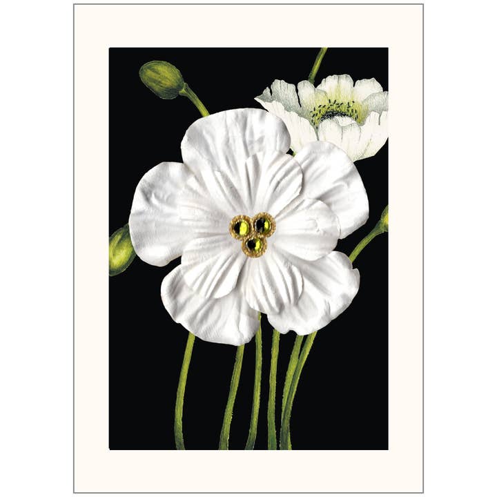 CCC005 Greeting Card for wholesale by s.e.hagarman