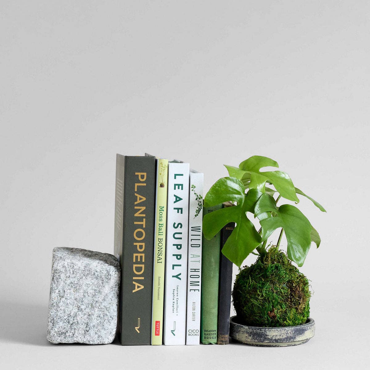 Bloomist - Wholesale Decorative Tabletop Object - Granite Stand8