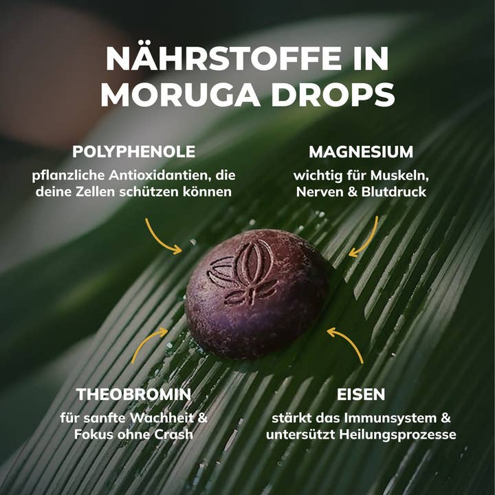 Moruga Cacao - Wholesale Hot Cocoa Mix/Kit - Amazonas Peru 🇵🇪, (Bio)3