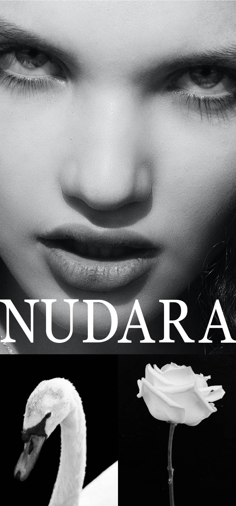 KBX - Venta al por mayor Perfumes/agua de colonia - Nudara Perfume Crema Verde - Aroma de Madera Antigua/Bosque 30ml7