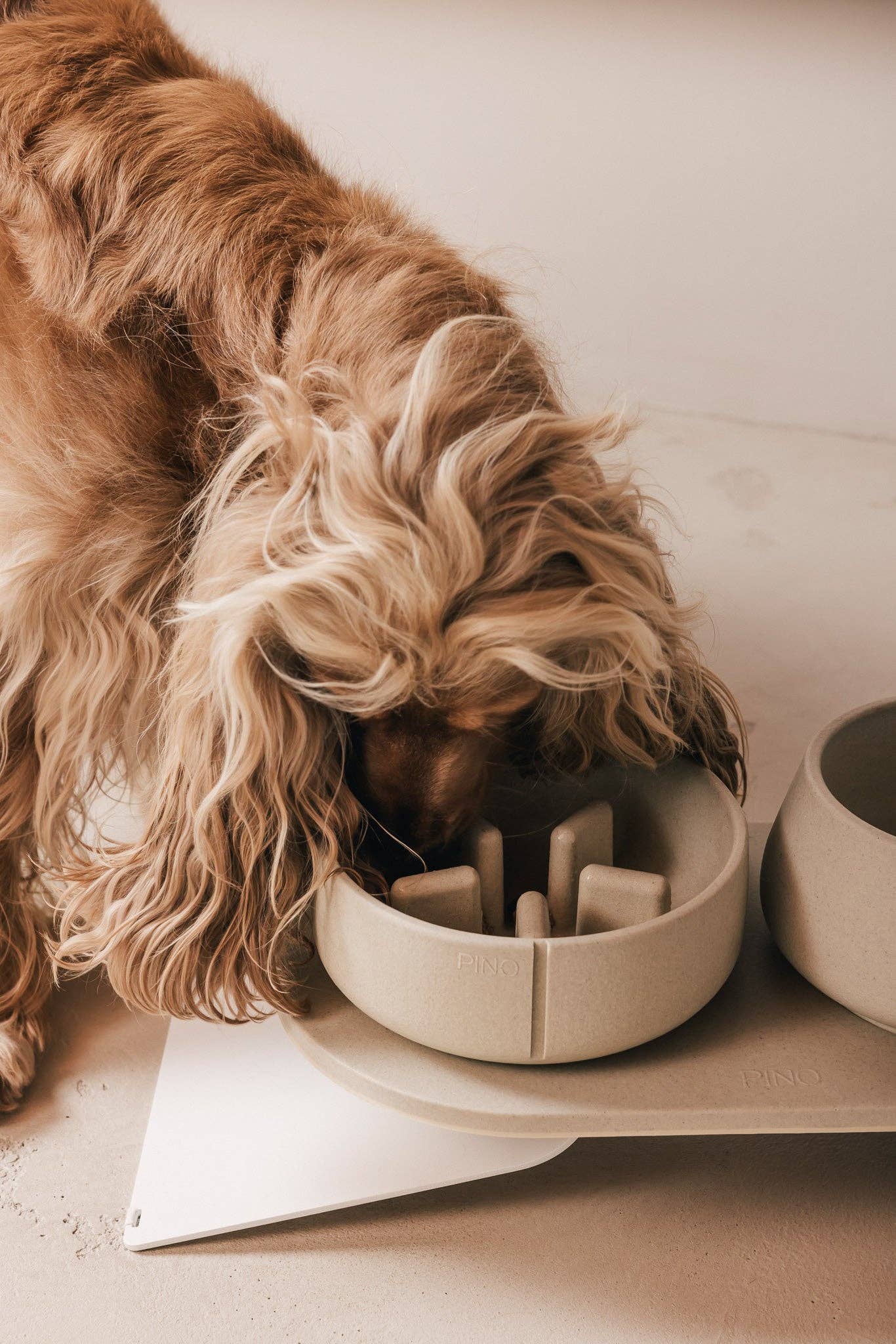 PINO - Wholesale Pet Bowl - Dog - Slow Feeder Bowl10