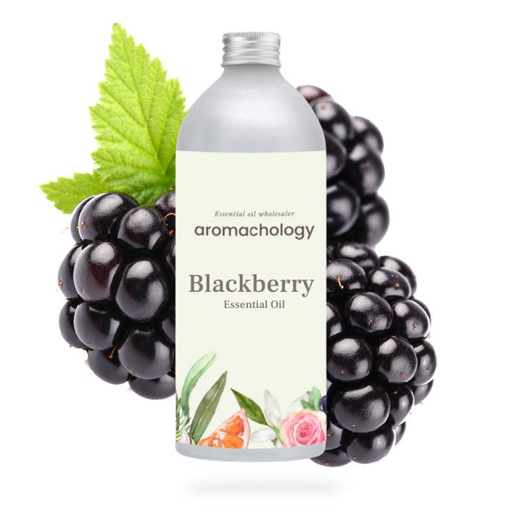 aromachology - Wholesale Essential Oil - Blackberry Seed Oil