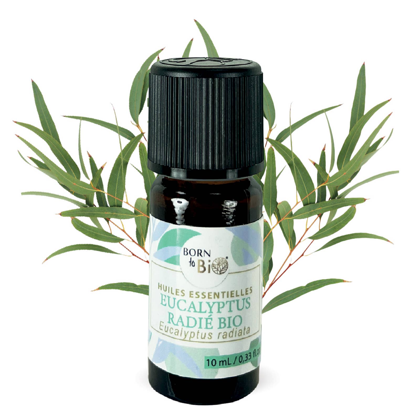 Les Laboratoires Bio Seasons - Wholesale Essential Oil - Eucalyptus essential oil Radie organic 10 ml1