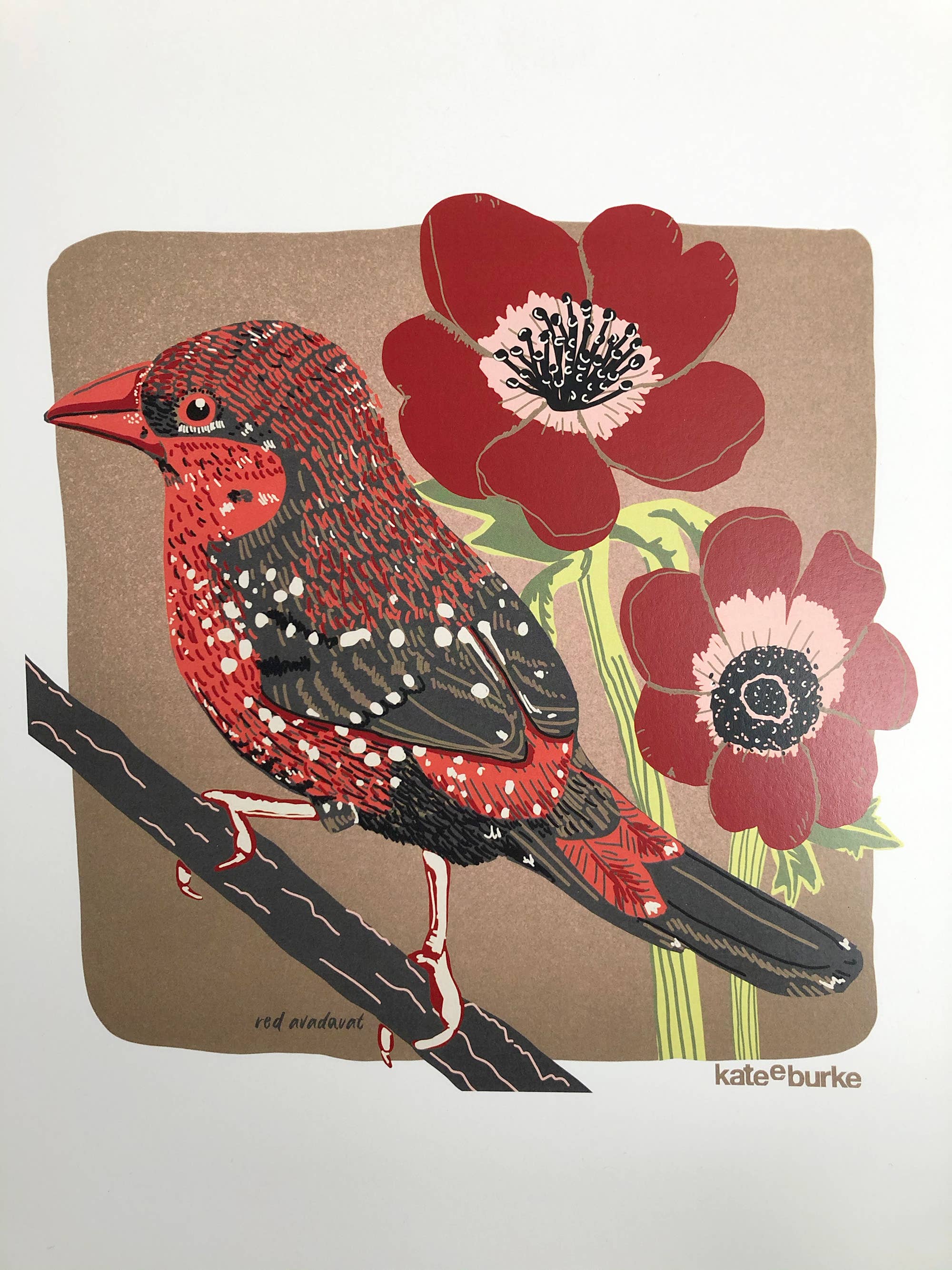 Kate E. Burke - Wholesale Art Print - Bird Series: Red Avadavat 11x14 Digital Print3