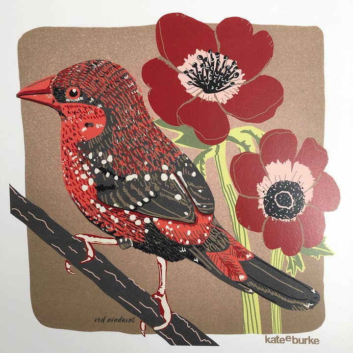 Kate E. Burke - Wholesale Art Print - Bird Series: Red Avadavat 11x14 Digital Print3
