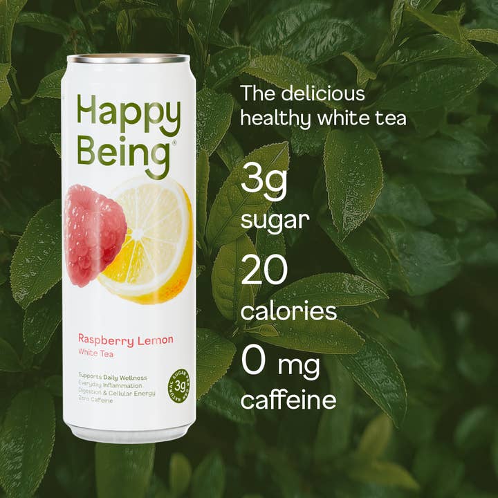 Happy Being - Wholesale Iced Tea - 16 Pack Raspberry2