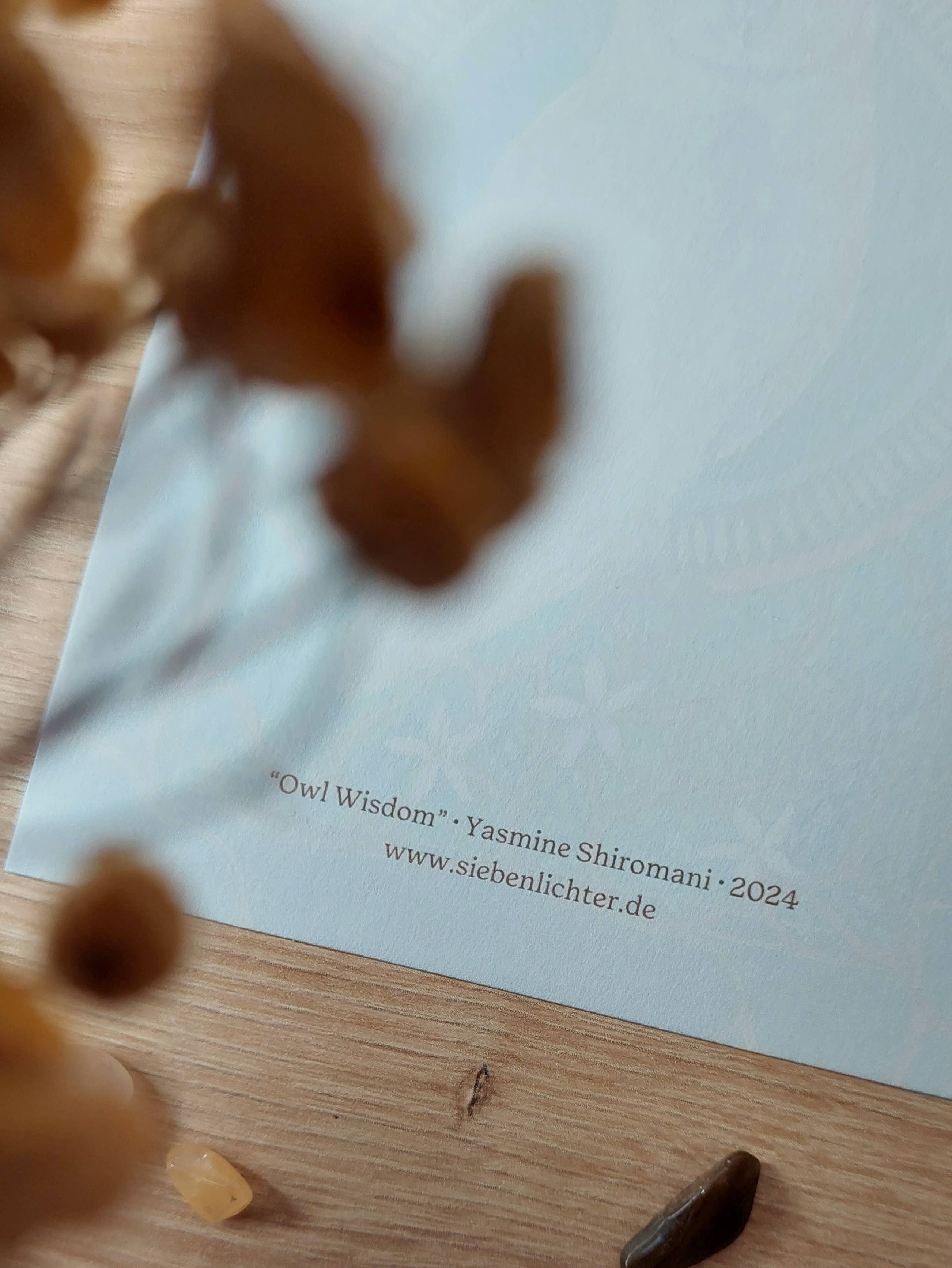 sieben lichter - Vendita all'ingrosso Cartoline - Cartolina artistica « Saggezza del gufo »3