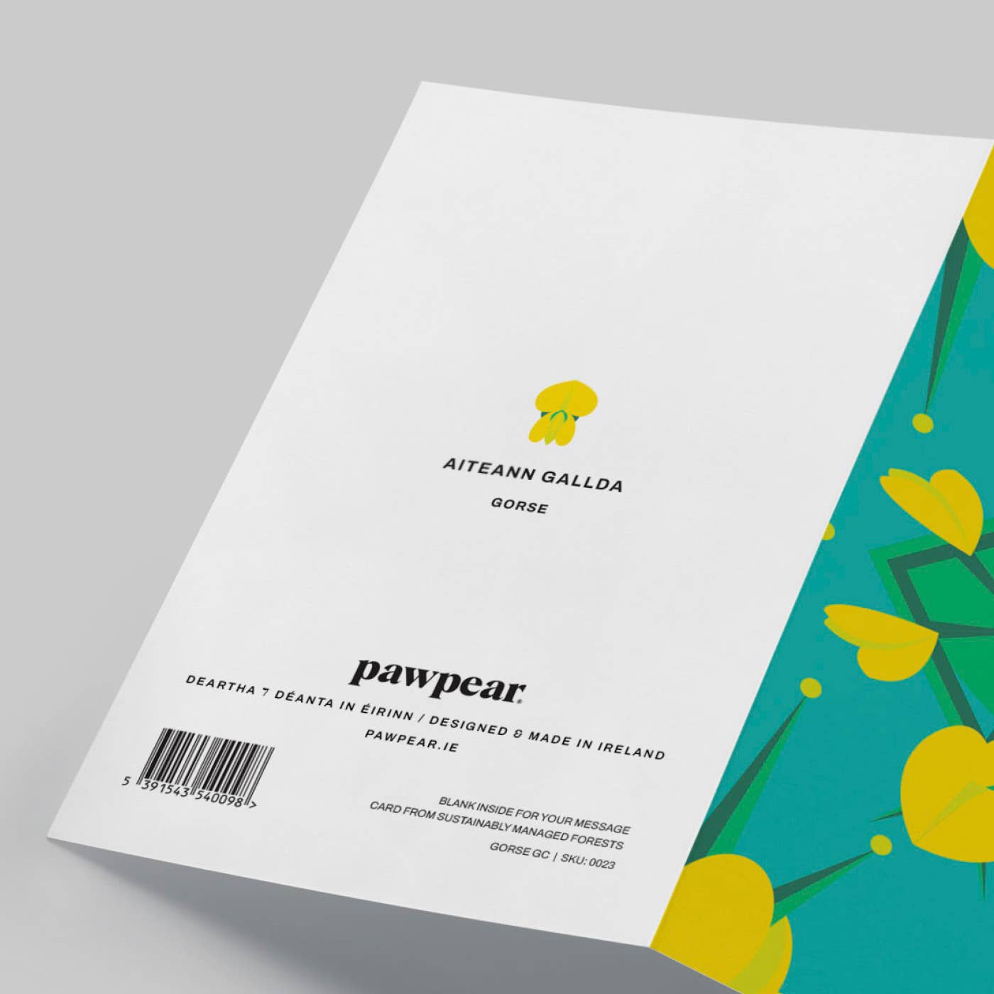 Pawpear - Wholesale Everyday Greeting Card - Gorse Greeting Card2