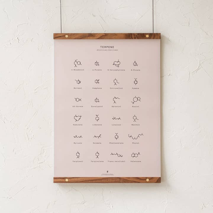Goldleaf – Großhandel Kunstdruck – Diagramm mit molekularen Terpenstrukturen drucken2