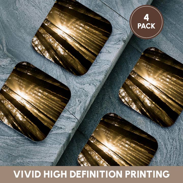 3dRose - Wholesale Coasters - 3dRose, Sunbeam in wooded rainforest, Olympic NP, WA, USA, Coaster12