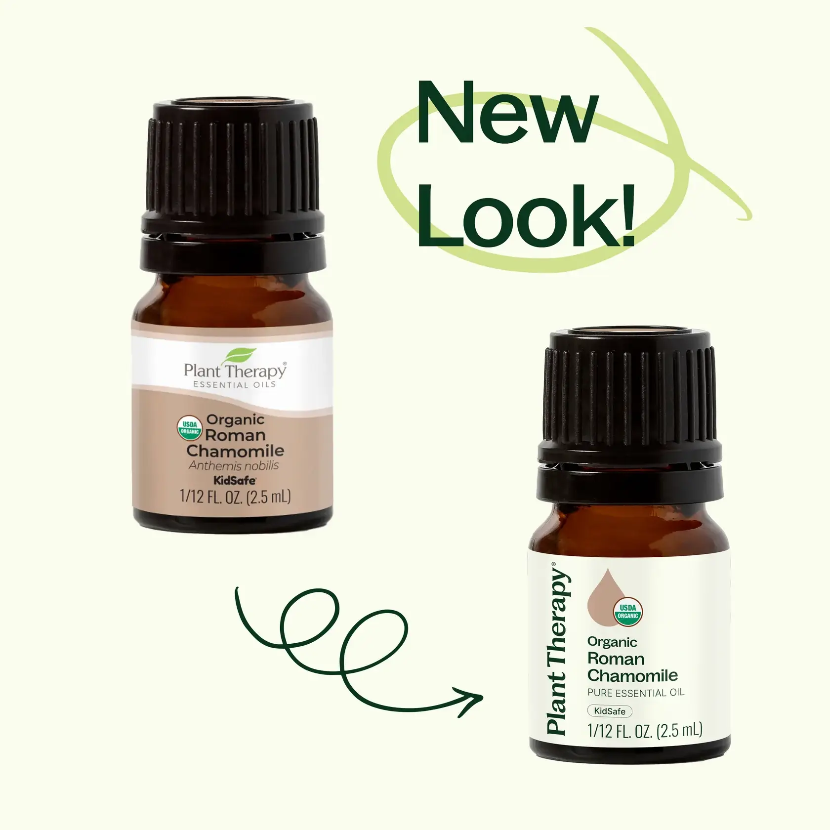 Plant Therapy - Wholesale Essential Oil - Organic Roman Chamomile Essential Oil 2.5 mL2