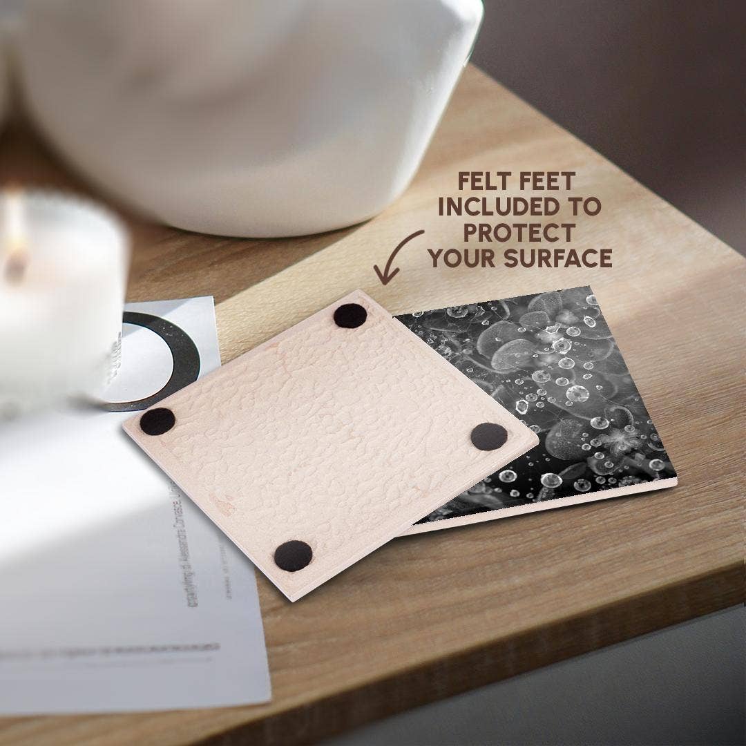 3dRose - Vente Sous-verre - 3dRose, Photographie macro en noir et blanc de gouttes de pluie sur une toile d'araignée., Dessous de verre3