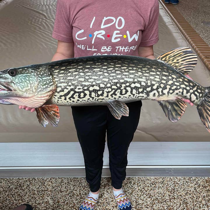 Reelistic Replicas - Wholesale Wall Accent - Northern Pike Replica - Metal, Realistic Northern Replica
