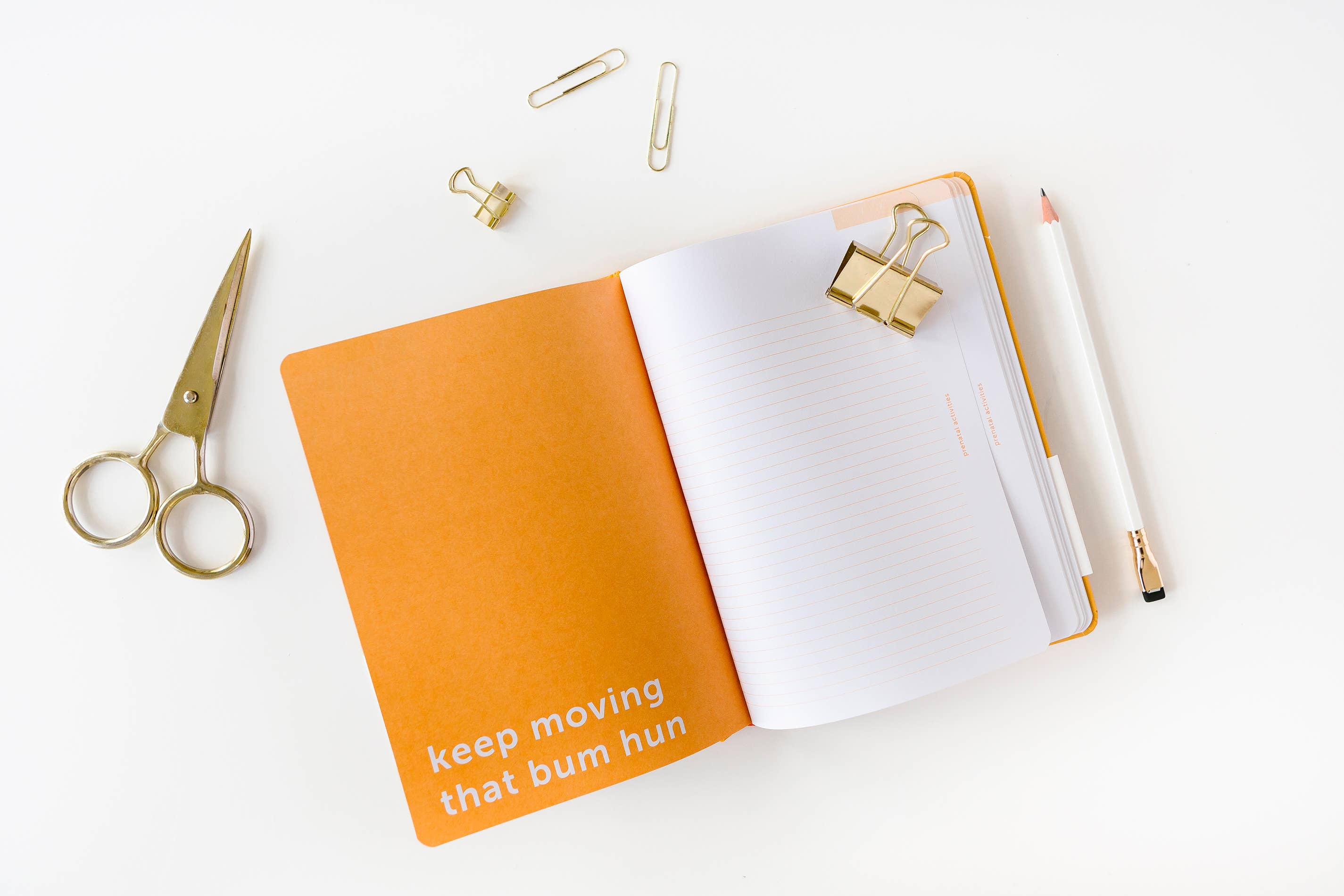 Orange Nine Months Journal for wholesale on Faire1