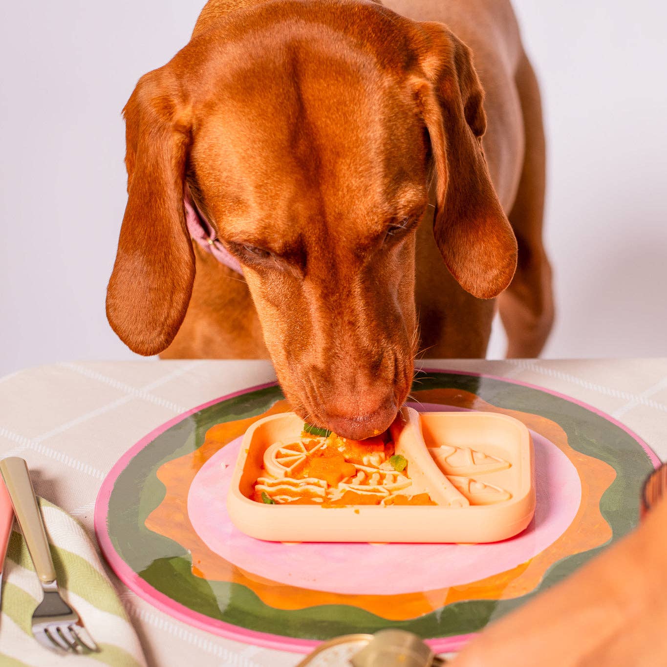 Awoo - Wholesale Pet Food Mat - Dog - Sardina Lick Mat & Slow Feeder8