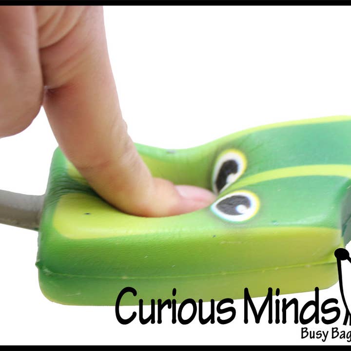 Curious Minds Toys - Wholesale Squishy Toy - Kids & Baby - 1 Squishy Slow Rise Popsicle with Face - Scented Sensory, S4