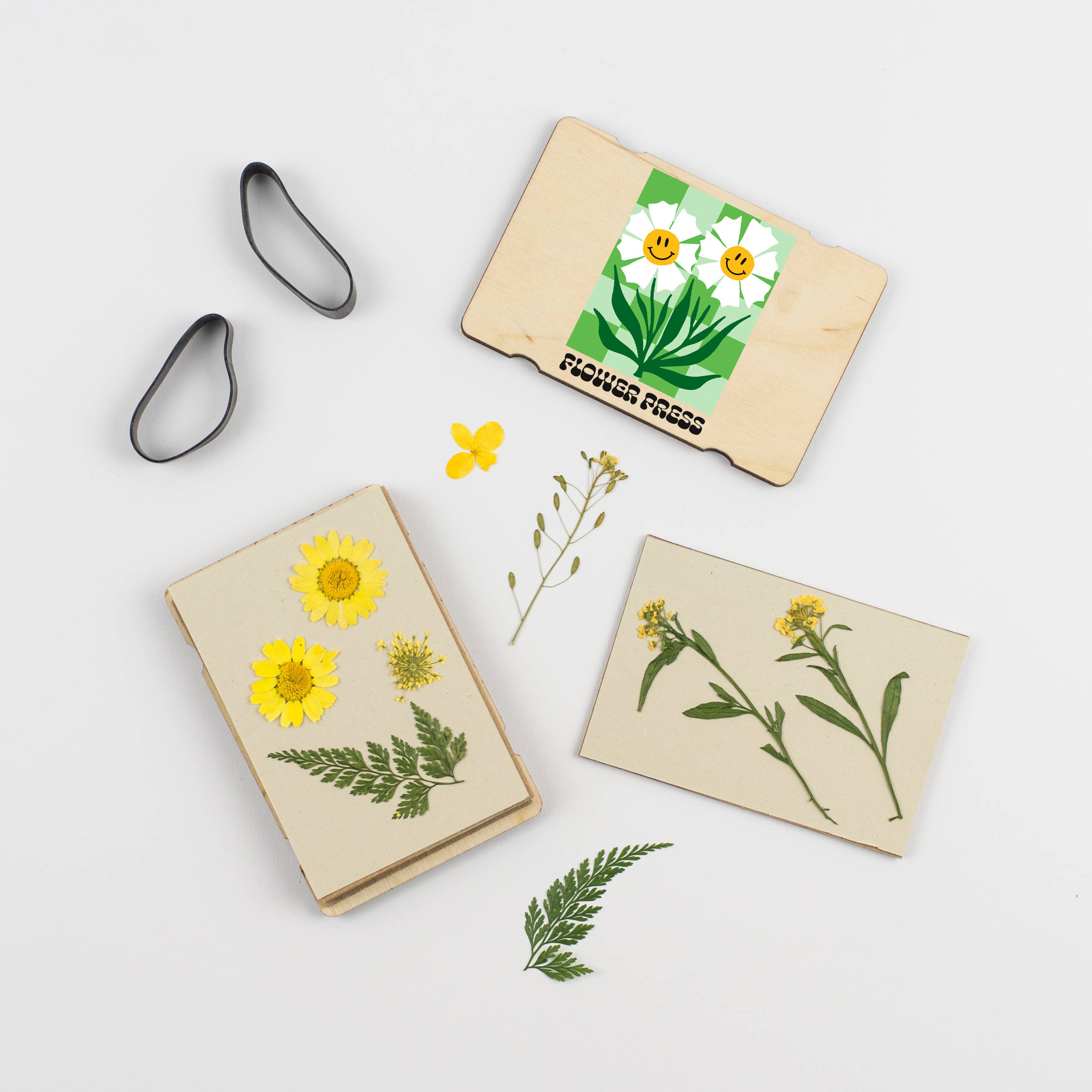 Studio Wald - UK Made - Venta al por mayor Kit de manualidades - Prensa de Flores de Bolsillo - Flor Feliz4