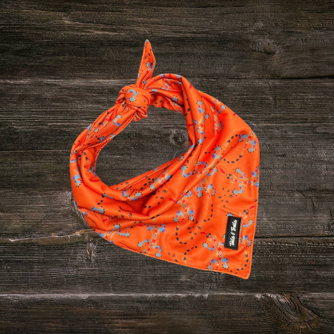 Tails and Trails - Wholesale Pet Bandana - Dog - Reptile Bandana