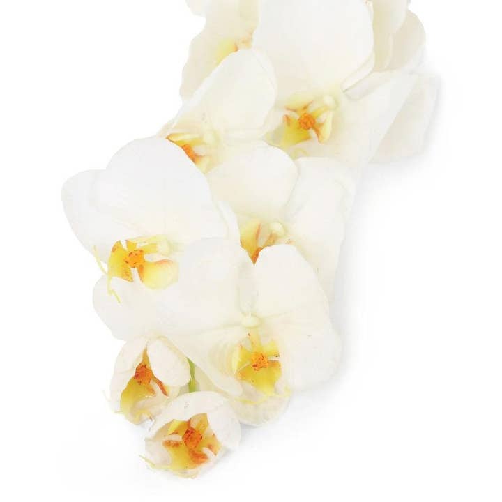 Closer2Nature – wholesale Artificial flowers – Artificial 109cm Single Stem White Phalaenopsis Orchid5