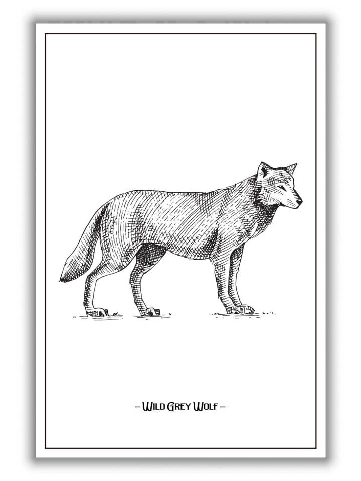 Loup gris sauvage pour la vente par Stanley Print House