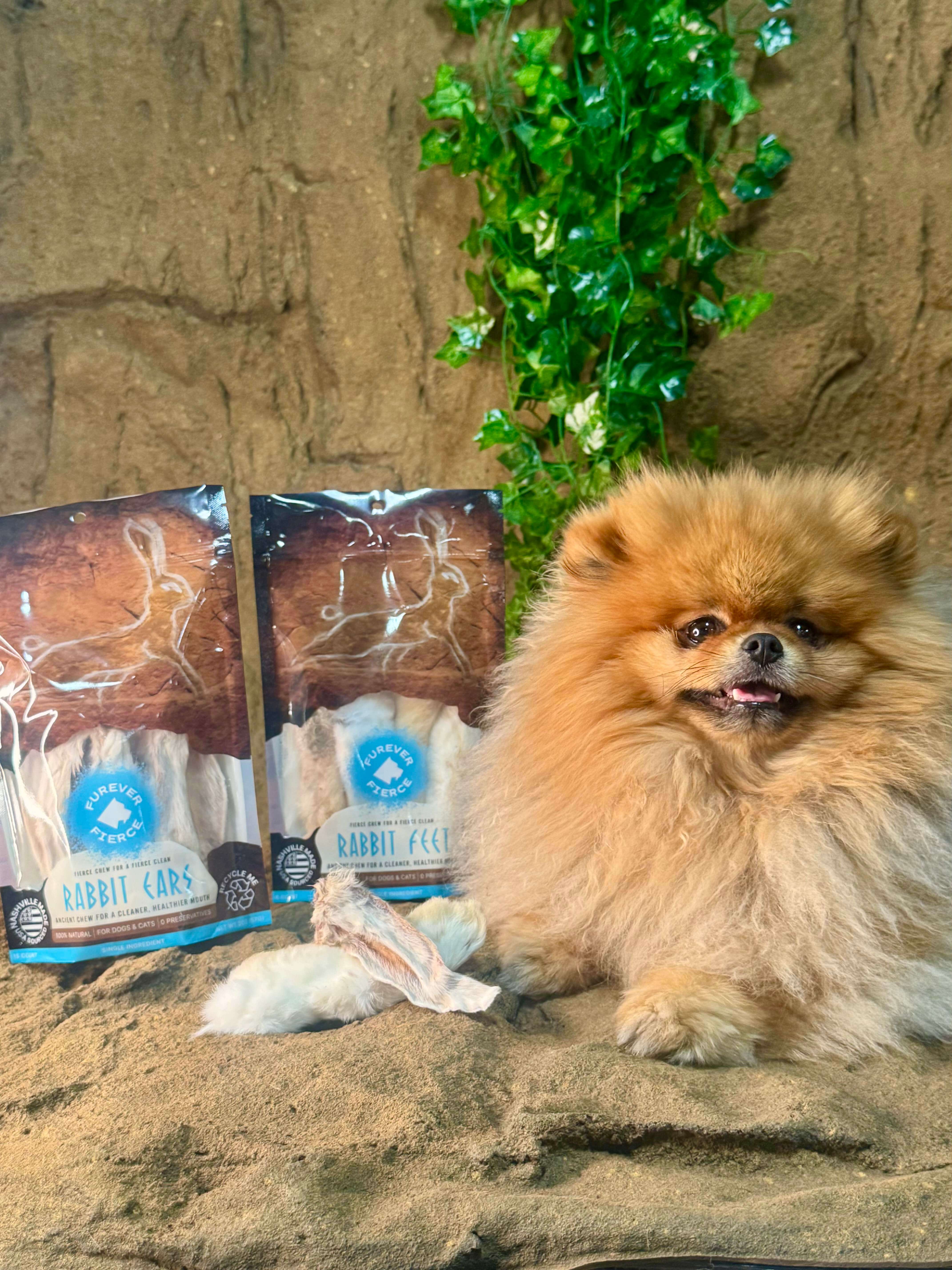 Furever Fierce (formerly Furever Primal) - Wholesale Pet Bone/Rawhide - Dog - Rabbit Ears Bag of 5 Dog/Cat Chew: Natural 1 Ingredient2