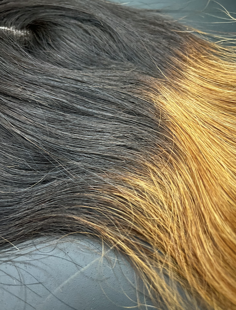 Magnolia's Theory – Engroshandel Hårforlængelse – Ombre usynlig blonde lukning 4 x4 lige2