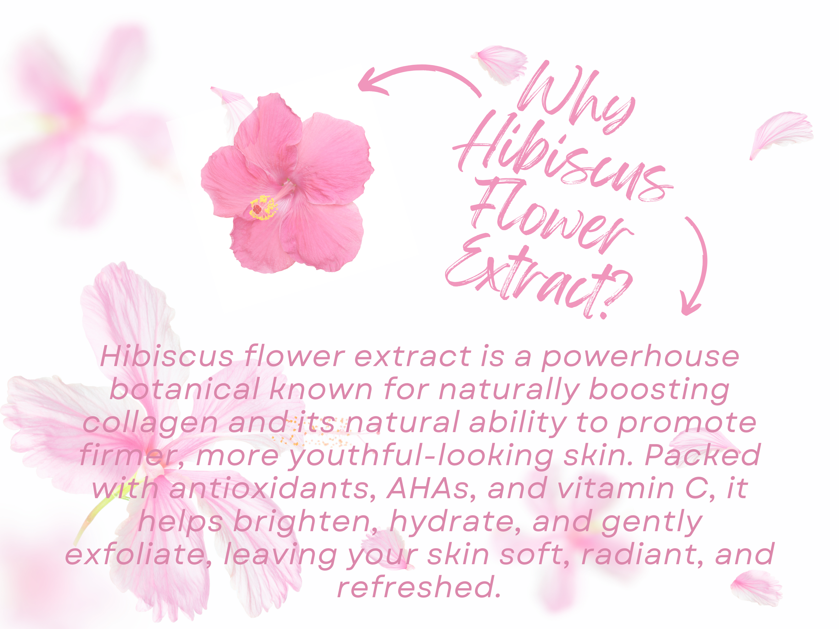 eScentually Yours - Wholesale Whipped Soap - Blackberry Hibiscus Whipped Soap & Shave Cream8