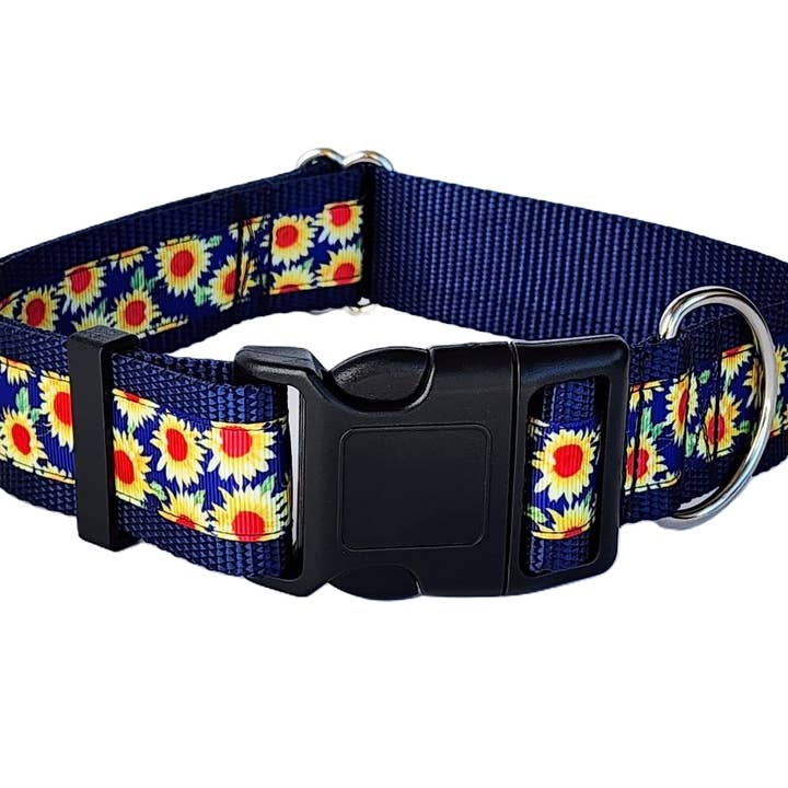 3,8 cm Solsikke Hundehalsbånd eller Martingale for engroshandel hos Rocky Mountain Hound