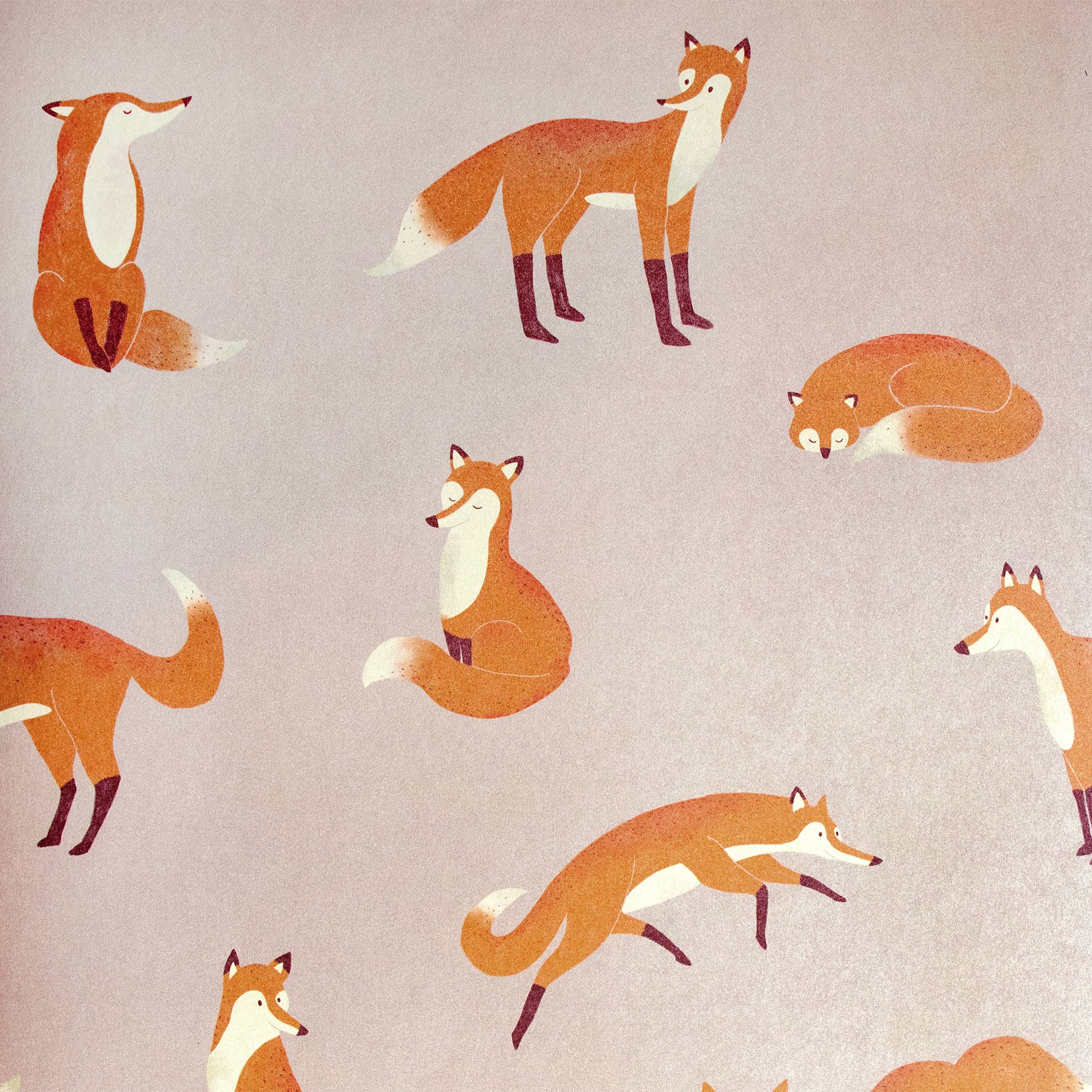 Galerie Wallcoverings - Wholesale Wallpaper - Great Kids Collection Smooth Glitter Friendly Foxes10