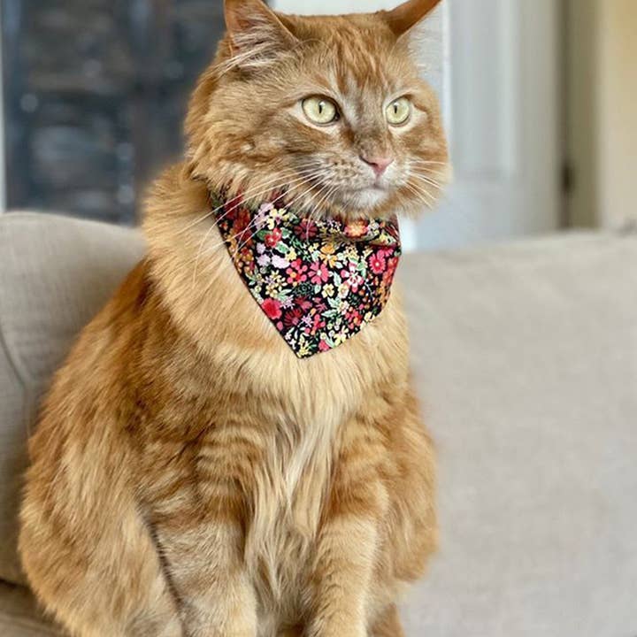 MODERNBEAST – wholesale Pet bandana – Dog – FLORAL BANDANAS (Options Available)6