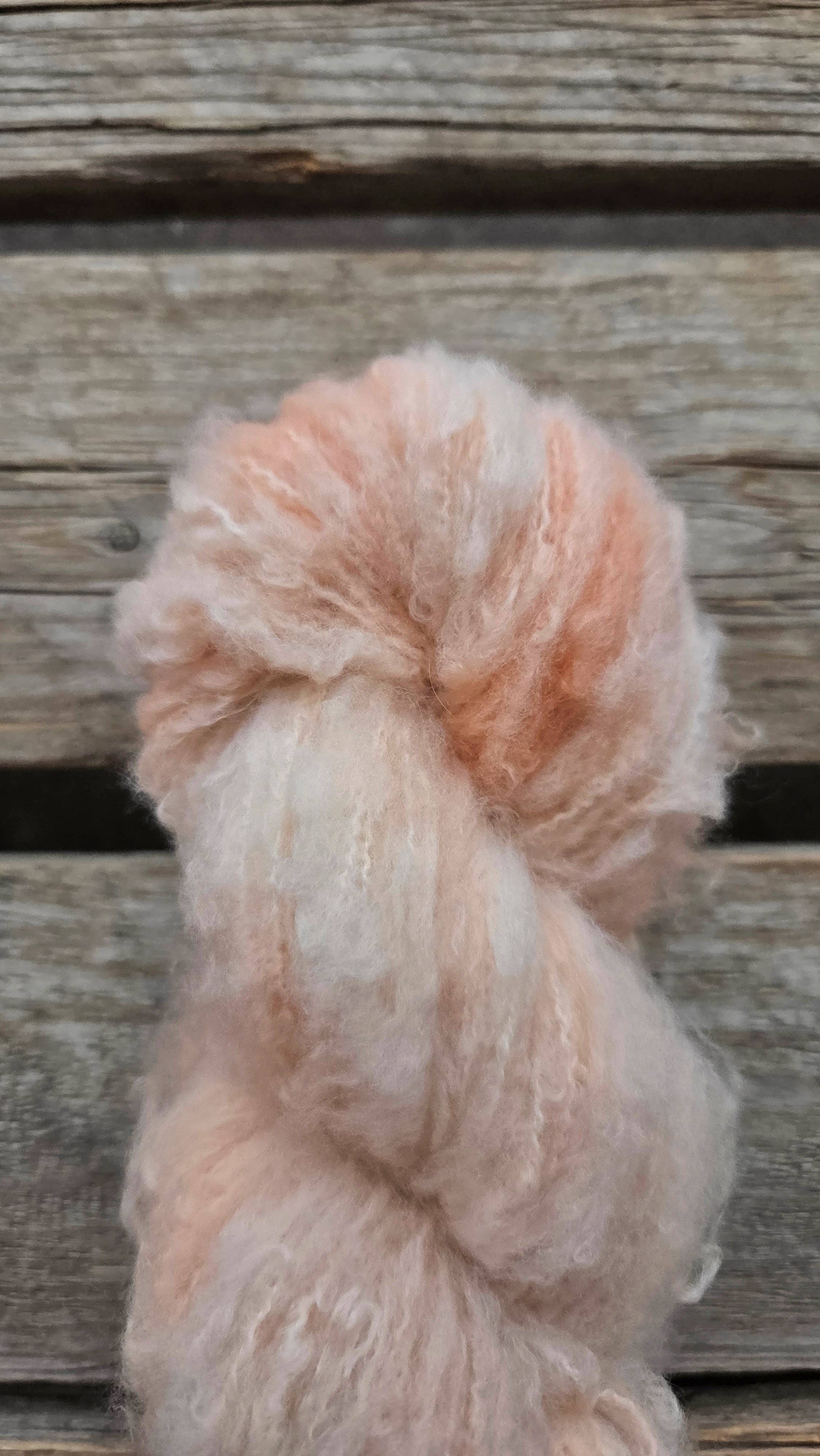 Koigu Wool Designs – wholesale Garn – Andra - Extra-fin Borstad Merinoullgarn4