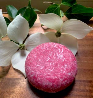 BEACH BABE - Vendita all'ingrosso Shampoo a saponetta/solido - Barrette per shampoo - Aloha