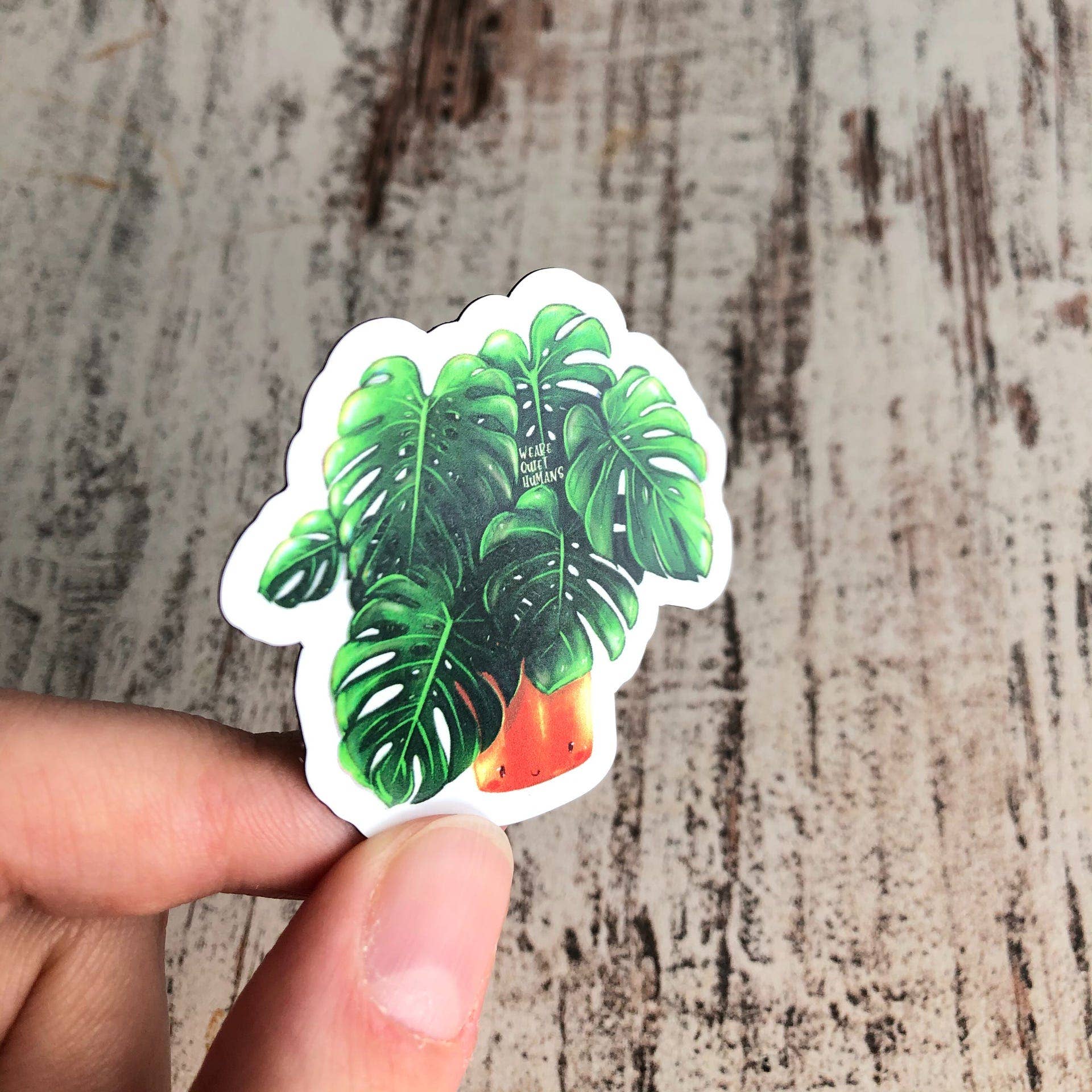 plantyintroverts - Wholesale Magnet - Magnet - Monstera Deliciosa, Plantlover, Plants, Plantlady6