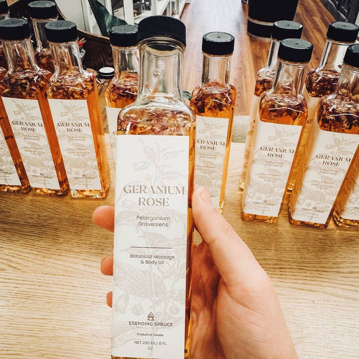 Geranium Pelargonium for wholesale by Standing Spruce