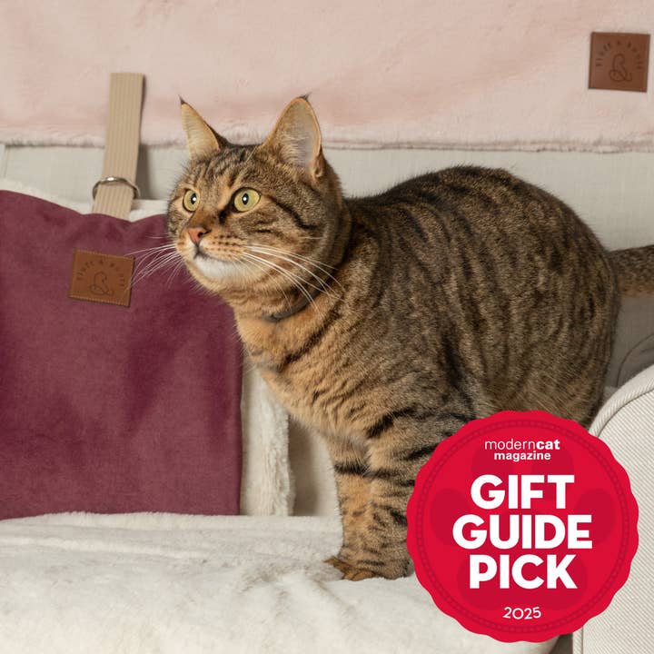 Signature Set for Cats: 3-Pieces at a Bundled Price for wholesale by Fluff & Boots